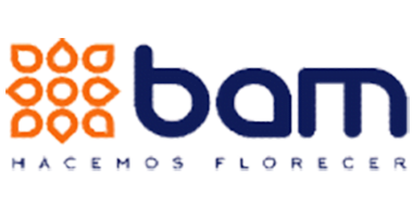 BAM 1 Agencia de Marketing Digital Bogotá - BrandSavers Clientes Bam AgroindustriaBig Agencia de Marketing Digital Bogotá - BrandSavers